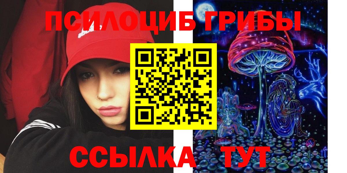 Димитровград  Псилоцибиновые грибы Psilocybine cubensis  Вход с VPN  Псилоцибиновые грибы мухоморы 